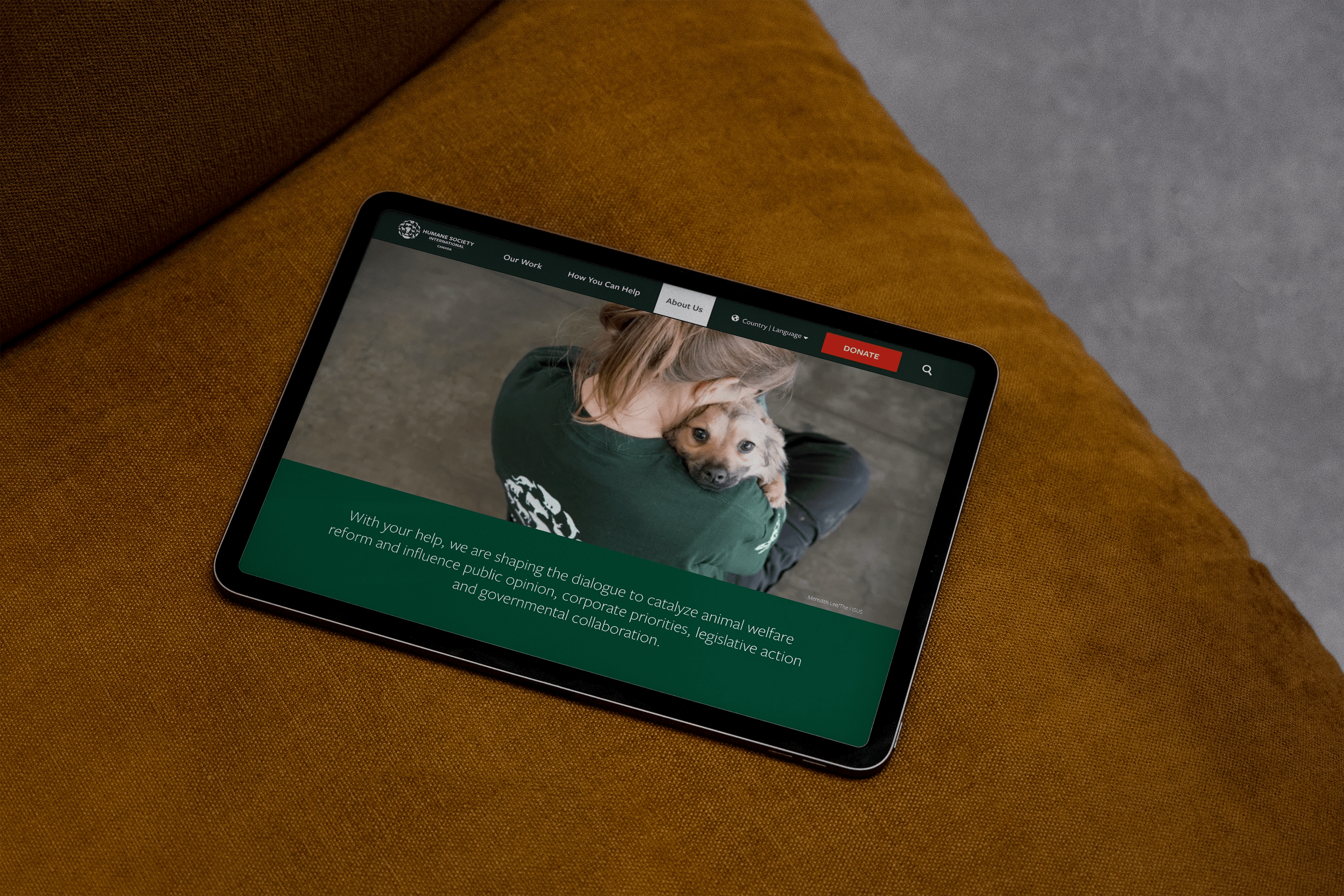 A tablet resting on a mustard-coloured surface displays the Humane Society International Canada homepage. The screen shows a woman in a green HSI jacket hugging a rescued dog, with the dog's face looking directly at the viewer. A message below highlights the organization's mission to influence animal welfare reform through public engagement and legislative action.