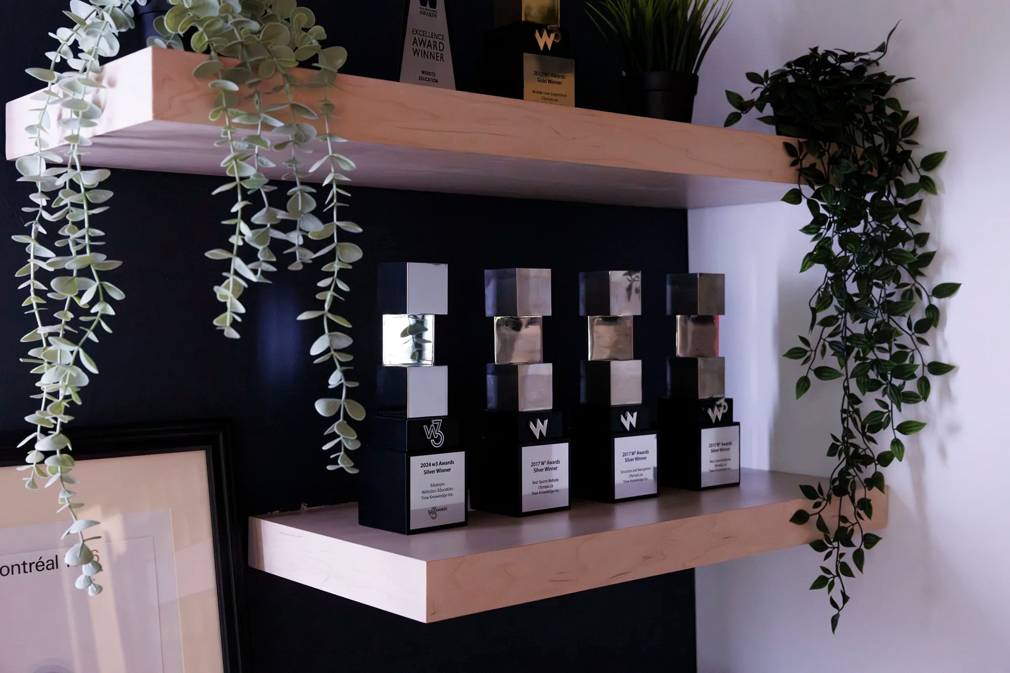 Shelf display of multiple W3 Awards surrounded by green hanging plants in a stylish office setting.